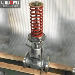 自力式壓力調(diào)節(jié)閥：科技引領(lǐng)，壓力控制新篇章